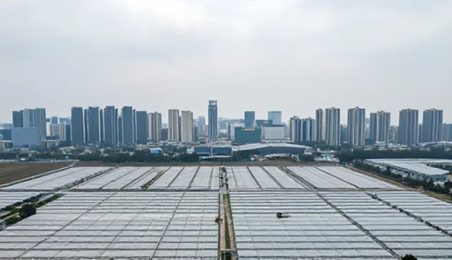 节点可查如何提升定制化服务的透明度与效率