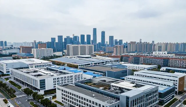 技术推广中的自动化运维问题及应对策略